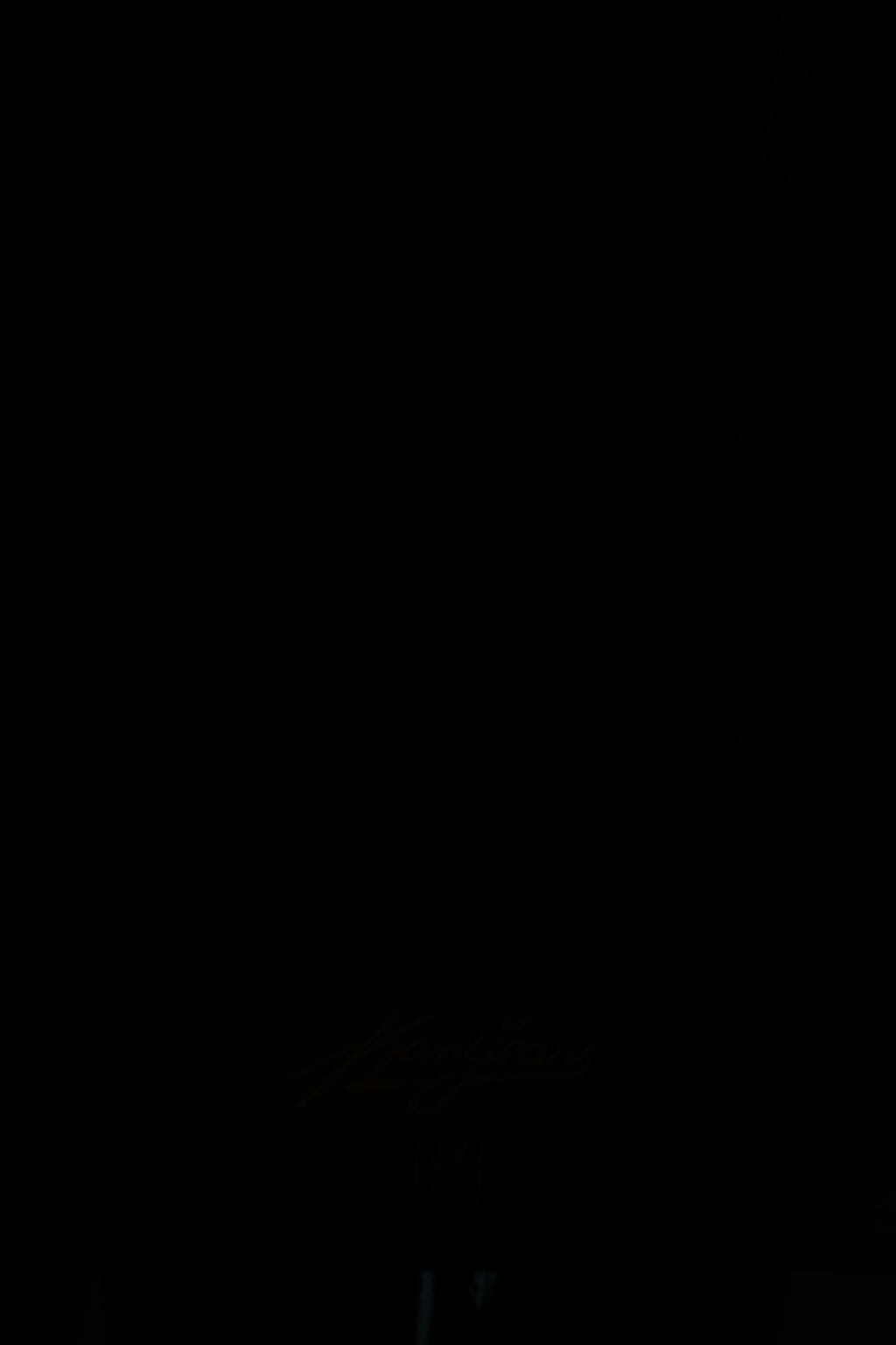 Vintage Karl Kani Denim Jacket  3XL Dark Navy Cotton Hip-Hop Icon