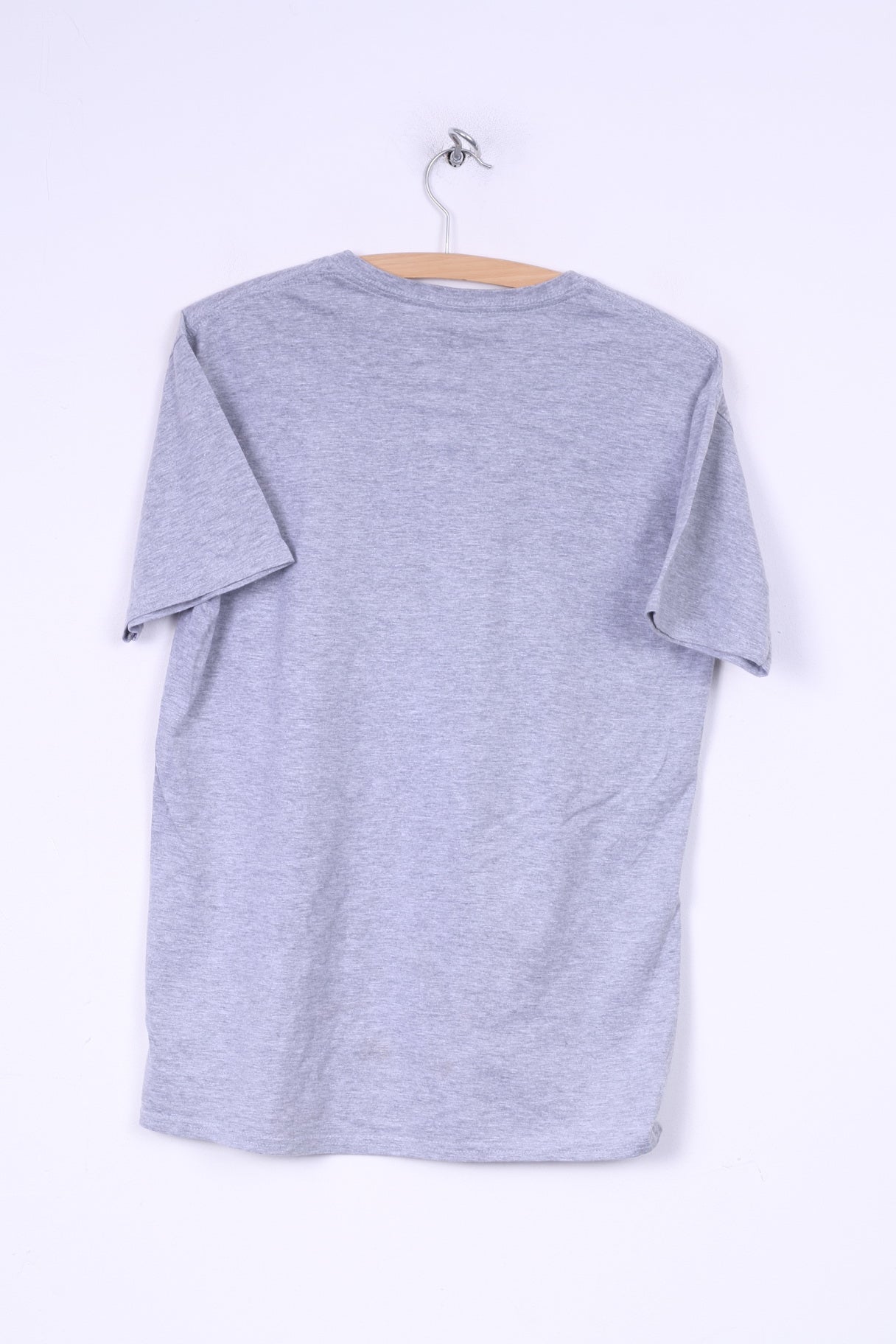 Gildan Heavy Cotton Mens M(S) T-Shirt V Neck Grey Graphic Live Fast Cause It Wont Last Summer Top