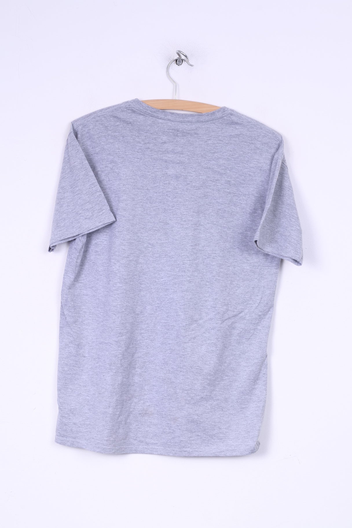 Gildan Heavy Cotton Mens M(S) T-Shirt V Neck Grey Graphic Live Fast Cause It Wont Last Summer Top