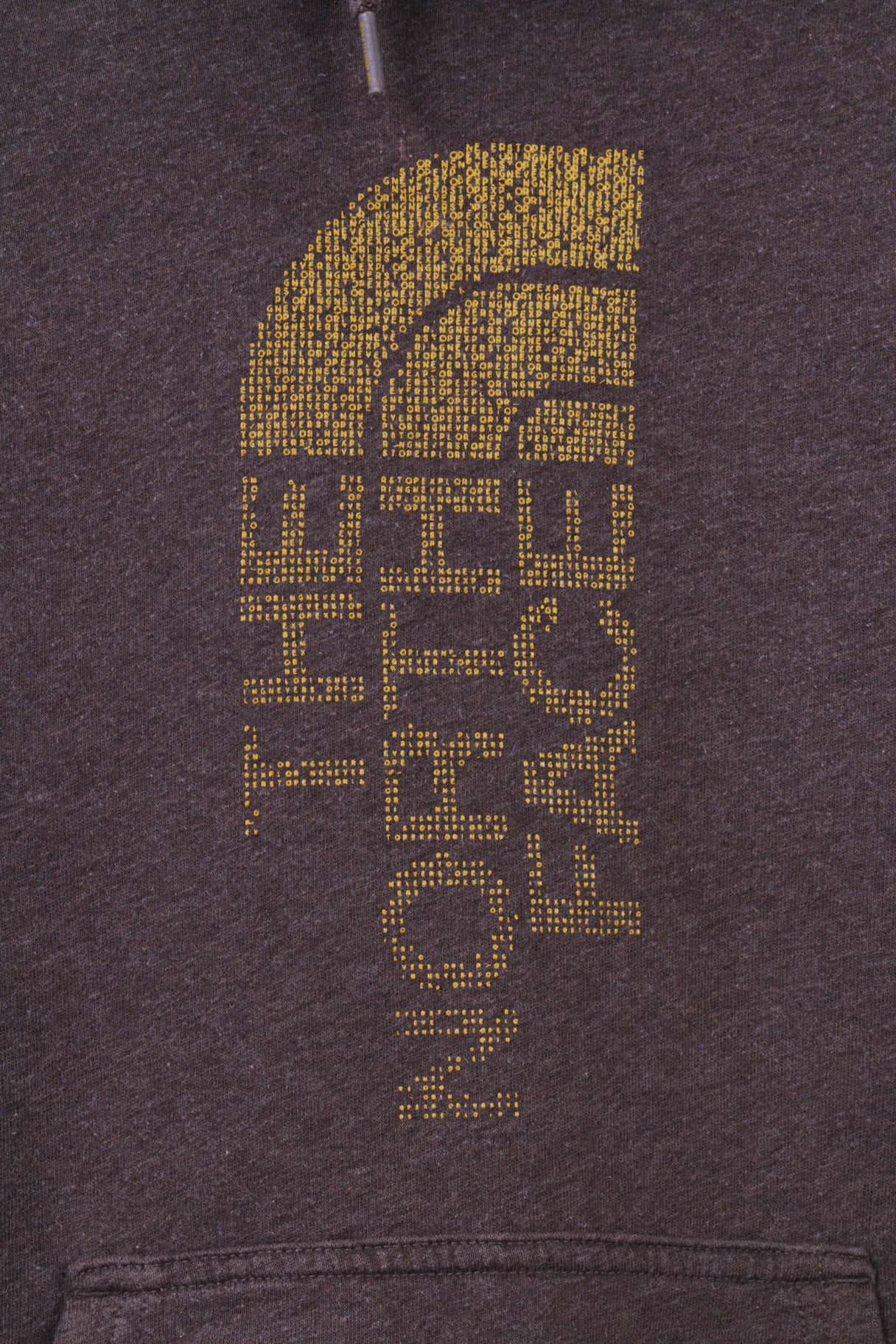 The North Face Sweat à capuche XS pour homme en coton marron avec logo graphique avec poche kangourou