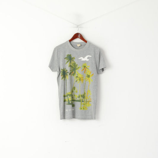 Hollister Hommes S T-shirt Gris Coton Graphique Cali Est La Vie Palms Haut Ajusté